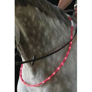 USG Reitsport LED-Leuchthalsring fr Pferde